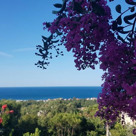 Vila Pogled Петровац Экстерьер фото