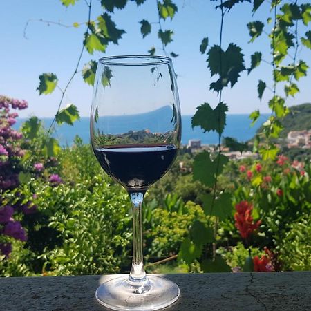 Vila Pogled Петровац Экстерьер фото