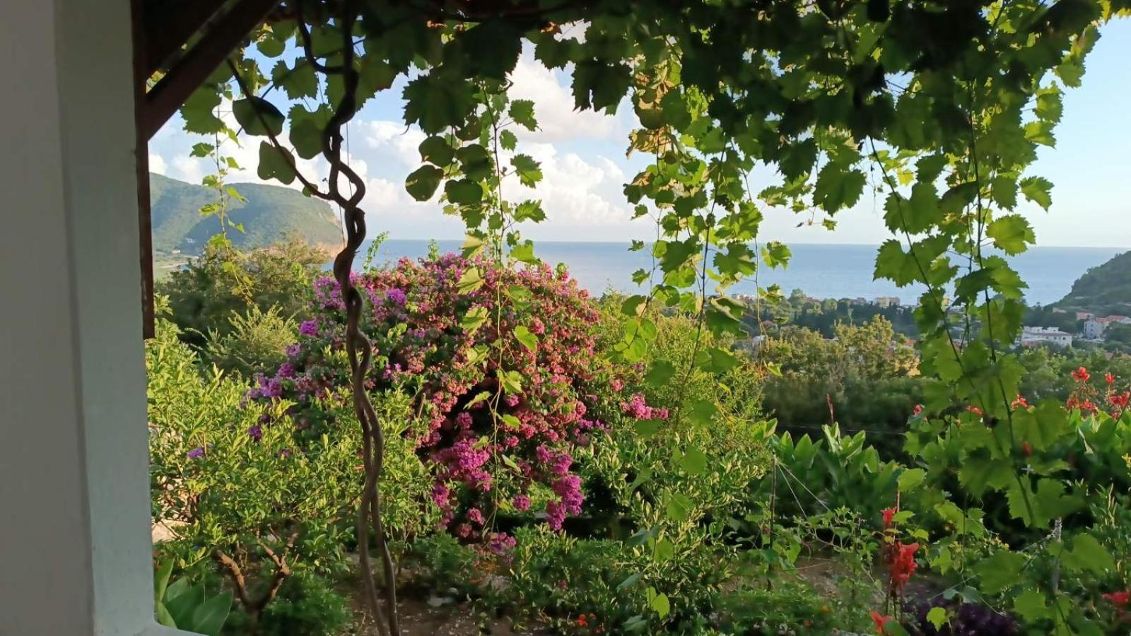 Vila Pogled Петровац Экстерьер фото