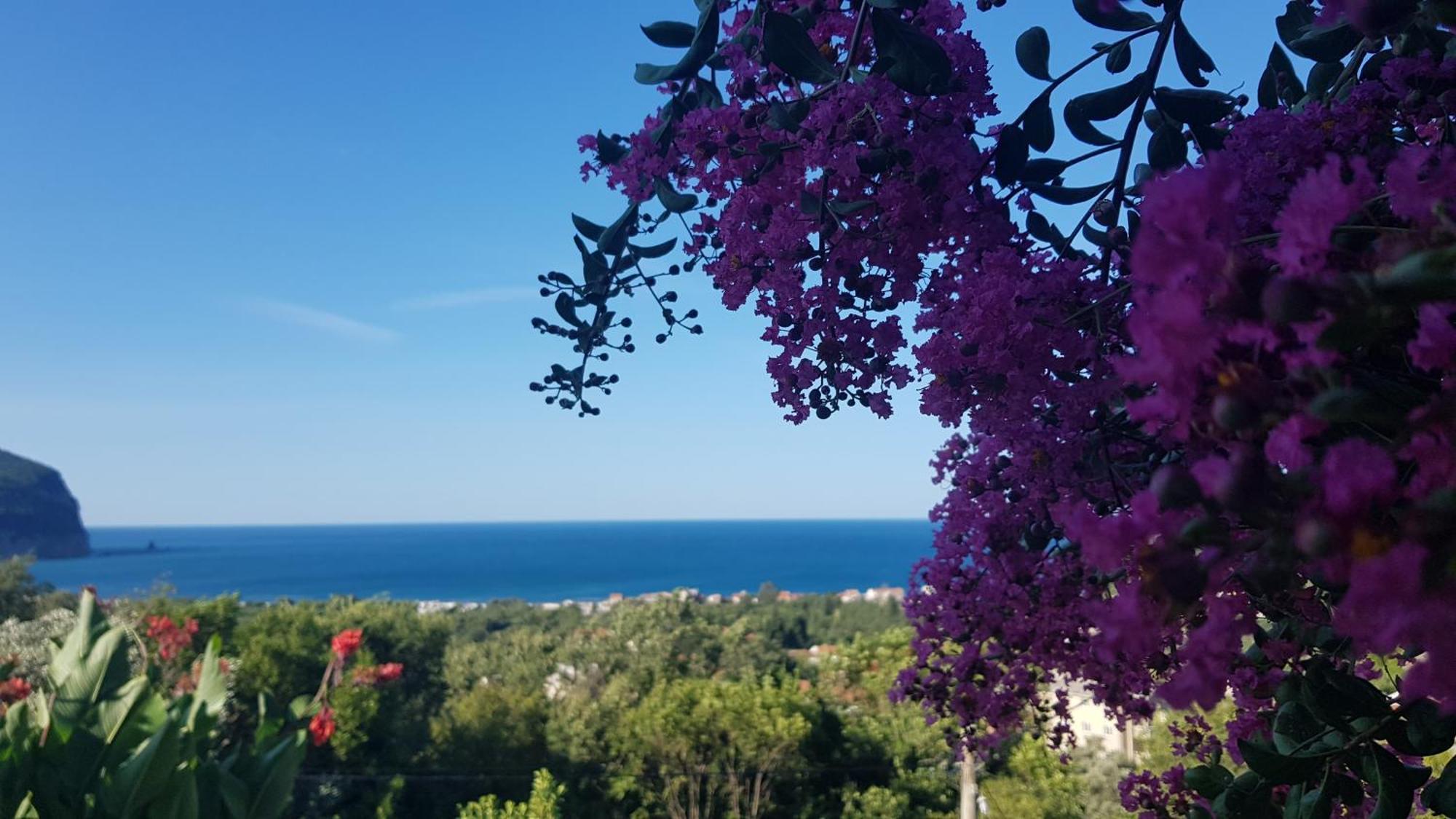 Vila Pogled Петровац Экстерьер фото