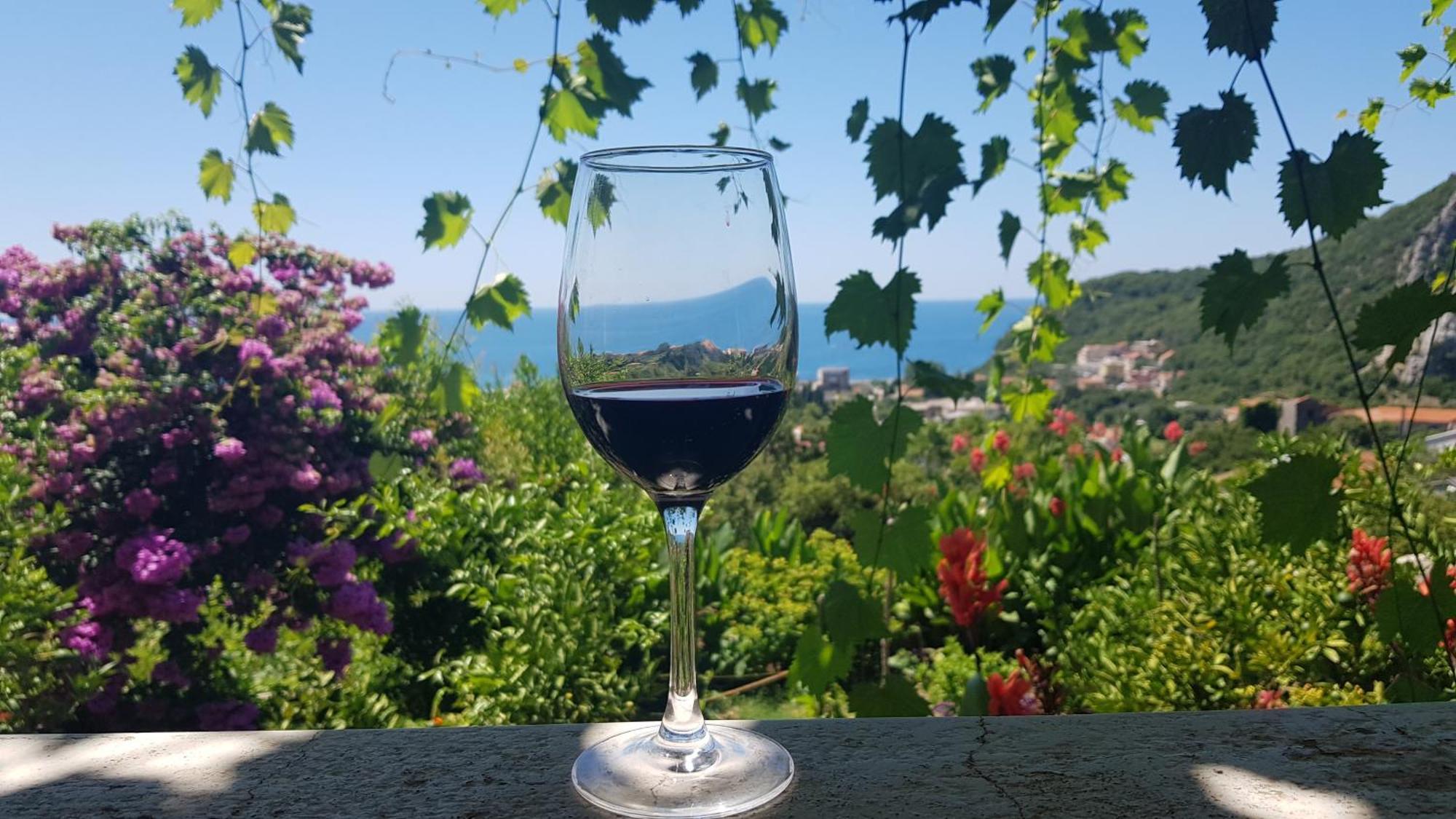 Vila Pogled Петровац Экстерьер фото
