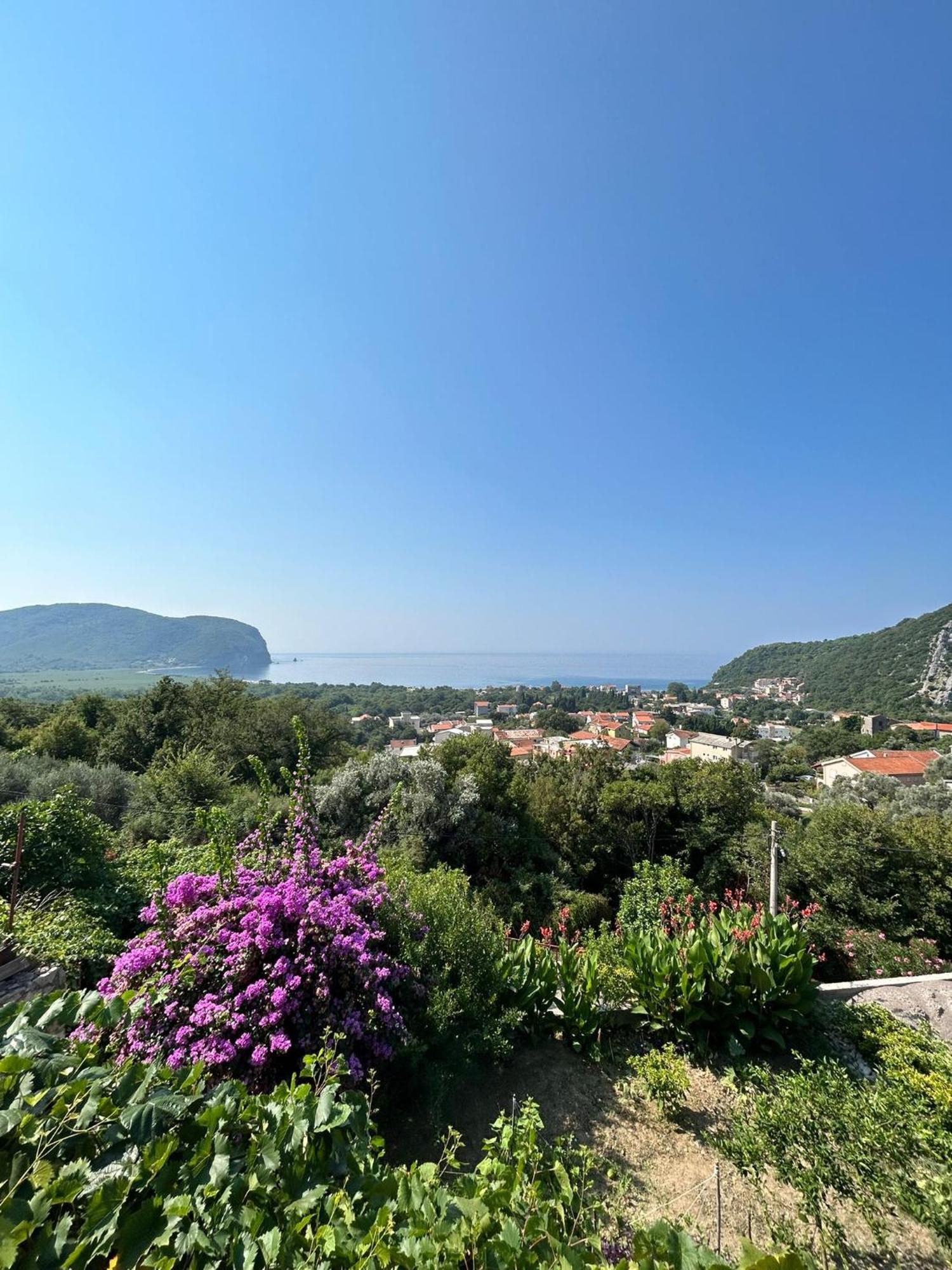 Vila Pogled Петровац Экстерьер фото